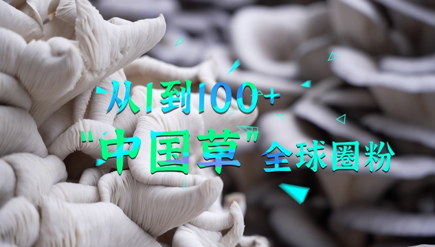 从1到100+  “中国草”全球圈粉