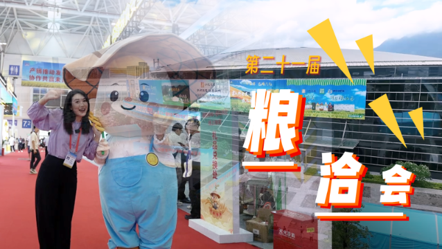 粮洽会Vlog | 粮洽会现场只有“米面粮油”？花样可多着呢！