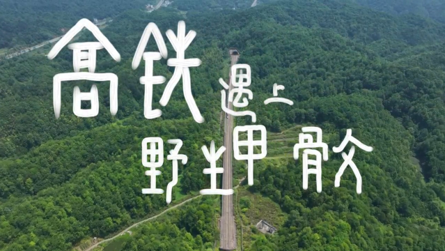 高铁遇上野生甲骨文