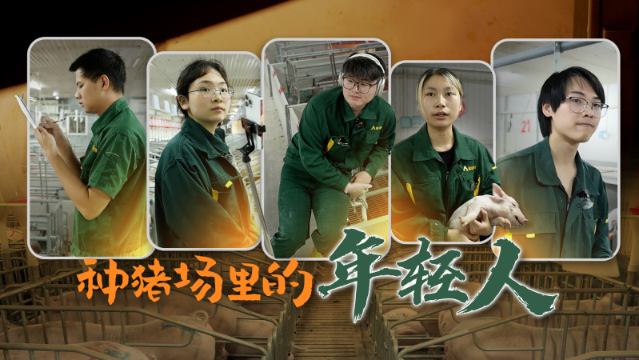 种猪场里的年轻人