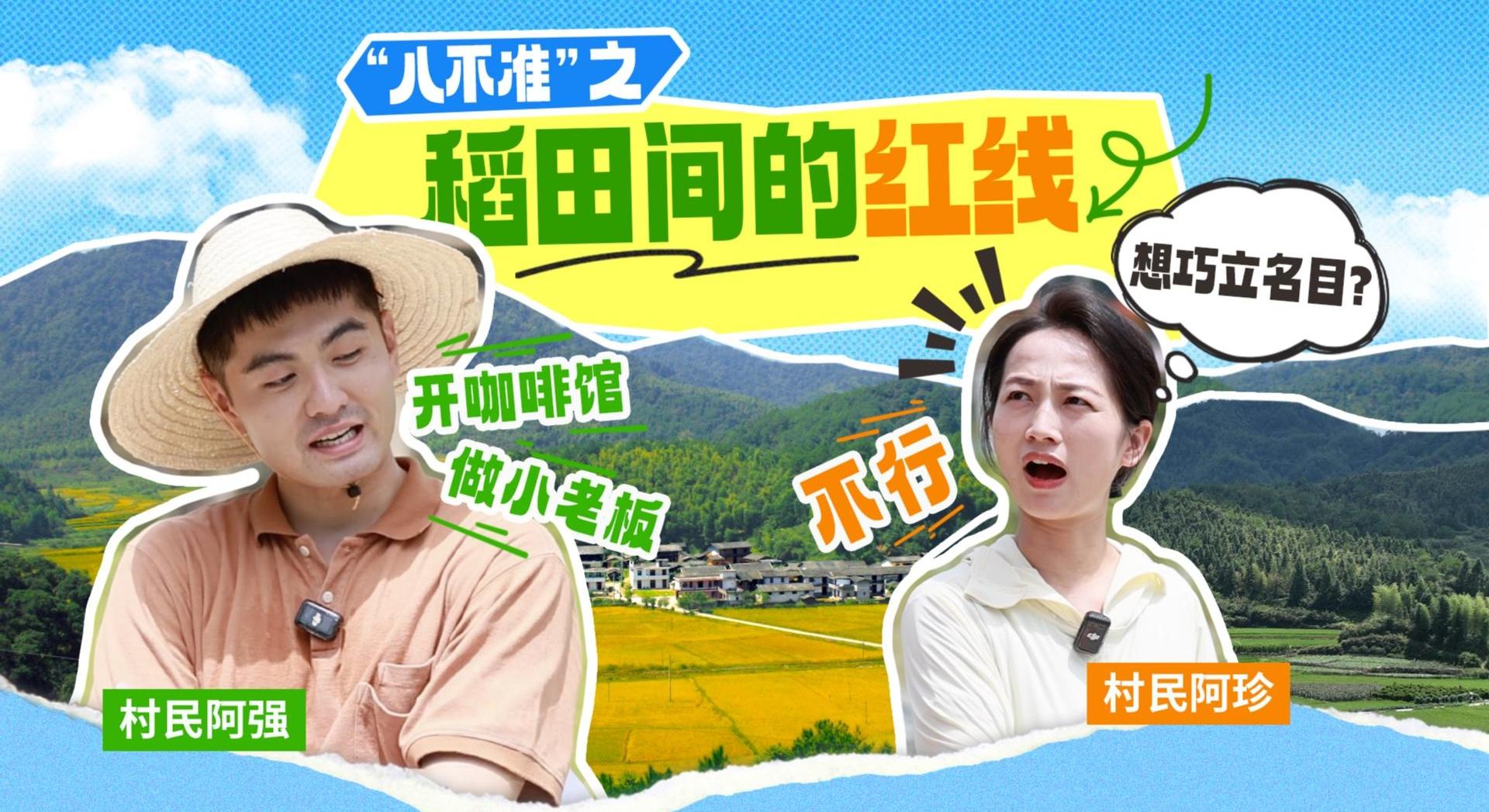“八不准”之稻田间的红线