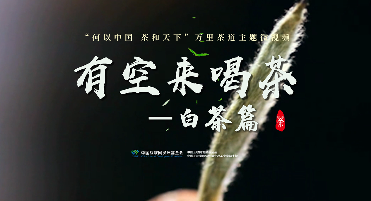 萬里茶道 I 從太姥山到全球 一片葉子撐起一方富民產業