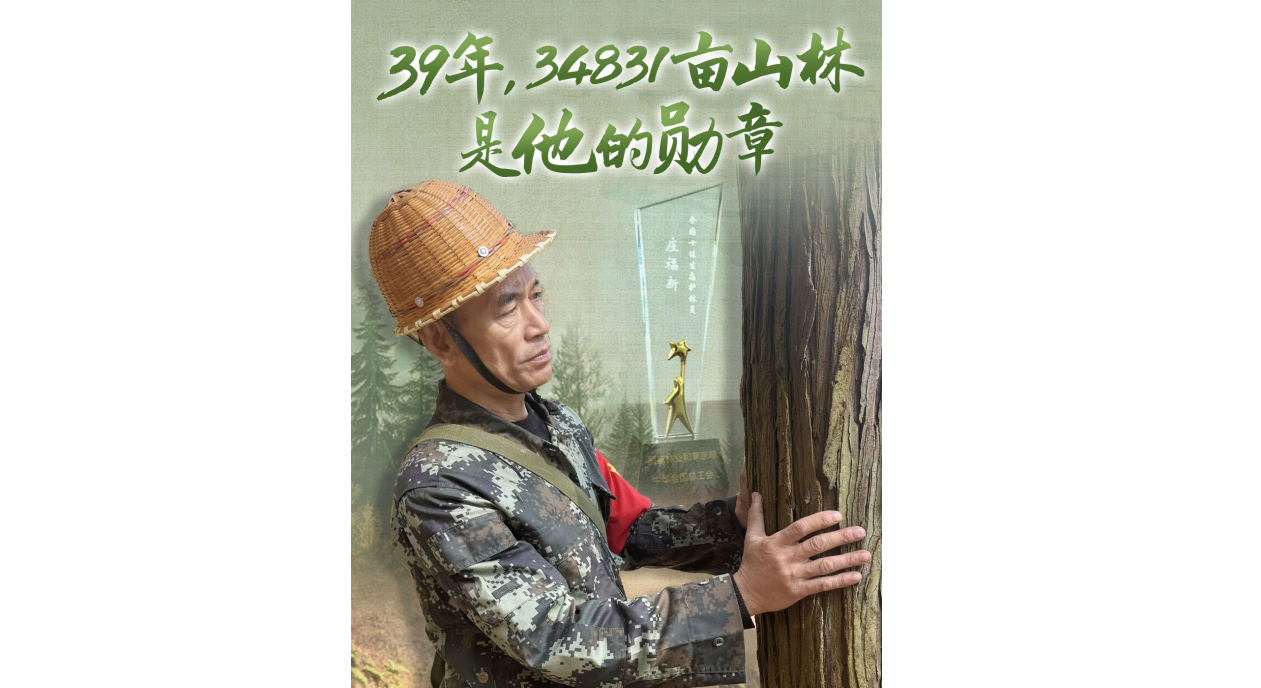 看见你丨39年，34831亩山林，是他的勋章