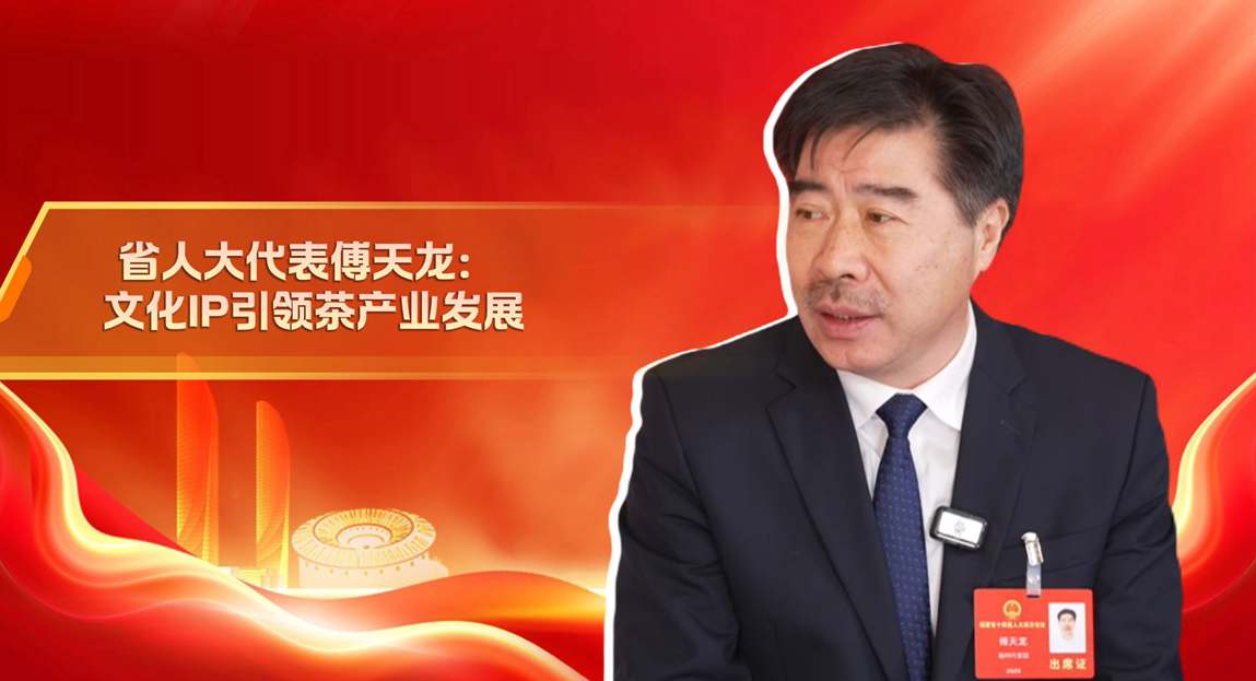 省人大代表傅天龙：文化IP引领茶产业发展