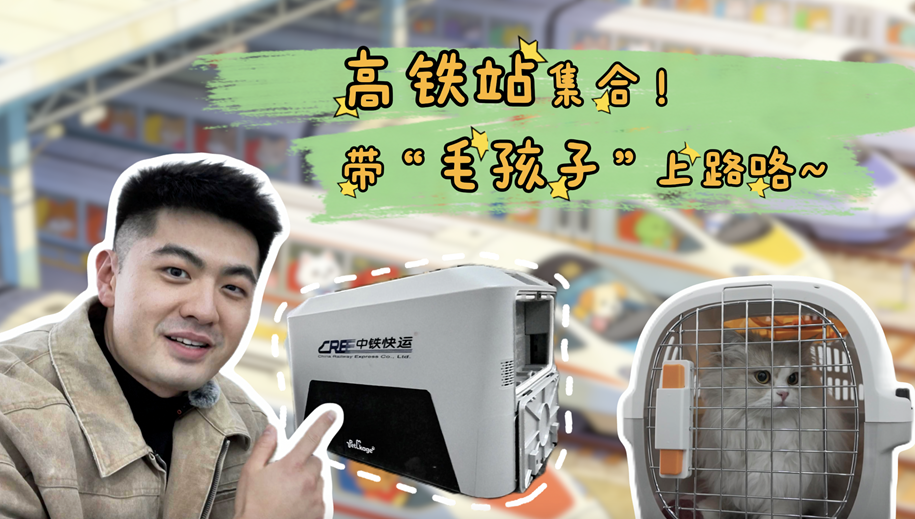 春运期间，“毛孩子”如何办理托运？高铁站集合一探究竟！