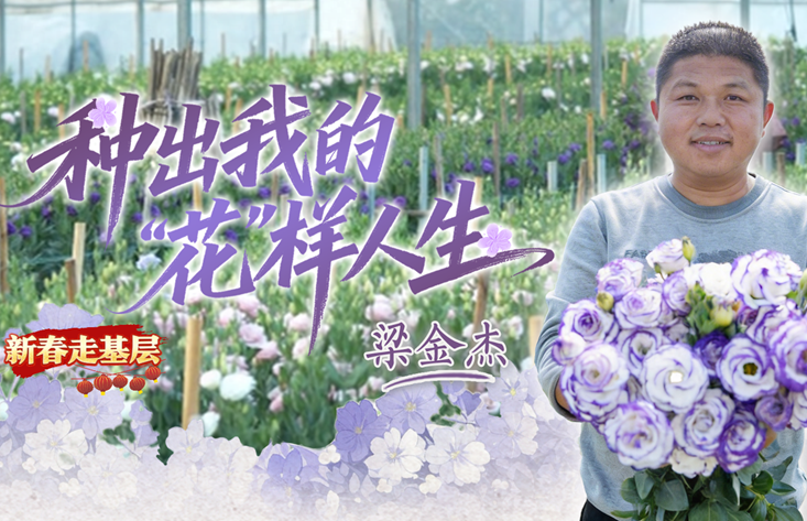 新春走基层丨种出我的“花”样人生