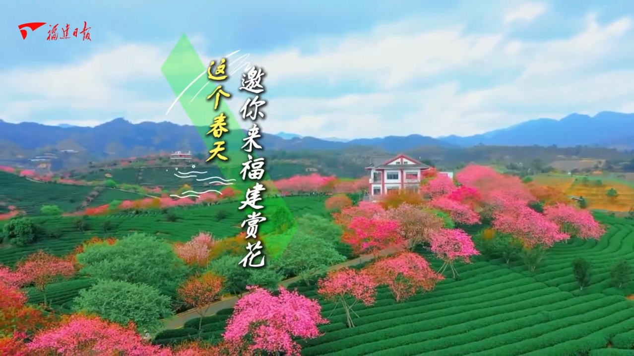 这个春天，邀你来福建赏花