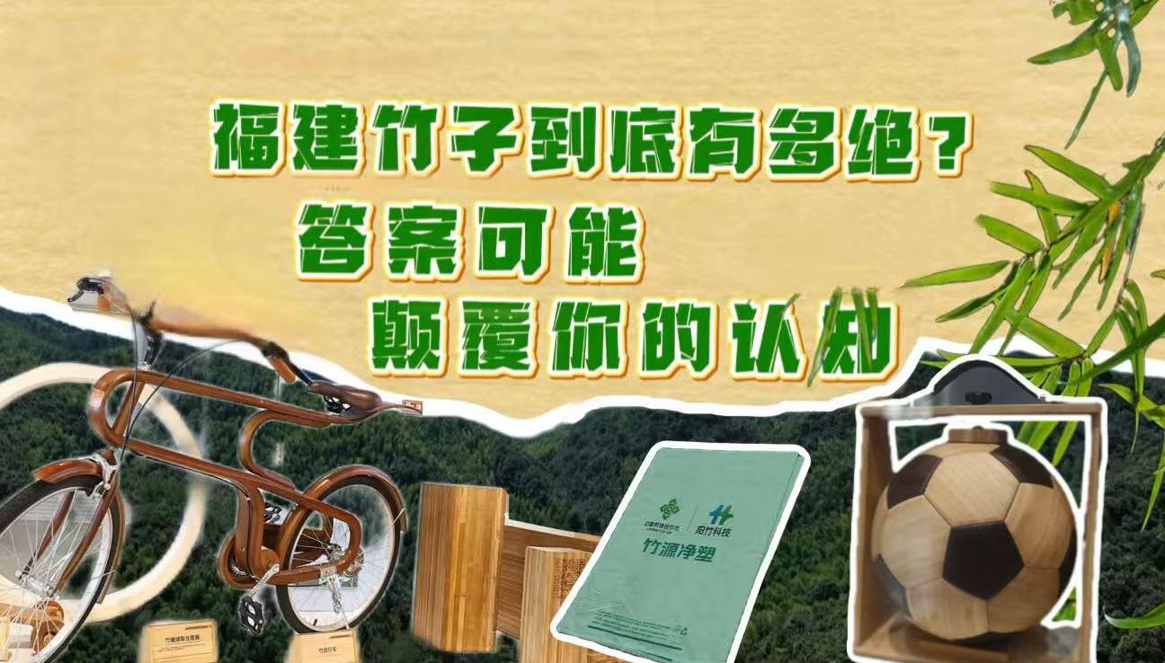 福建竹子到底有多绝？答案可能颠覆你的认知