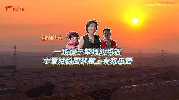 闽报塞上行 | 一场援宁牵线的相遇  宁夏姑娘圆梦塞上有机田园
