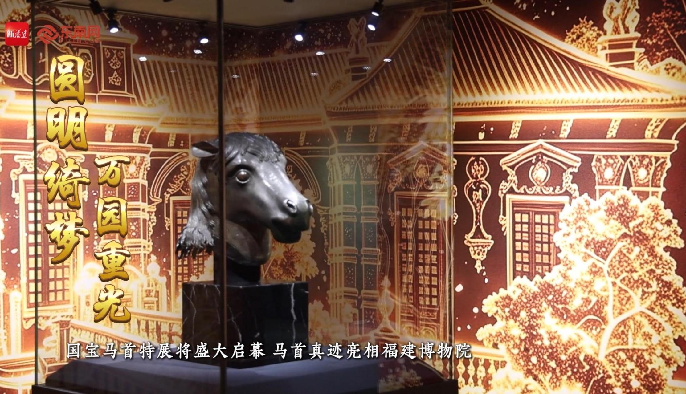 马首真迹亮相福建博物院